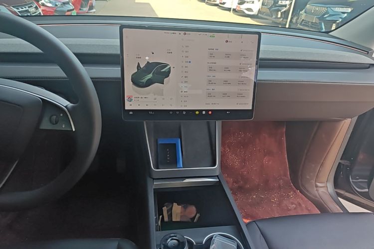Tesla Model Y 2025 car image #13