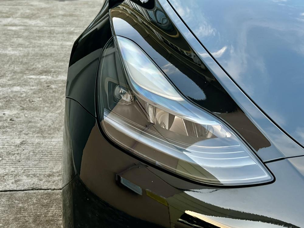 Tesla Model Y 2023 #19 Tesla Model Y 2023 car image #19