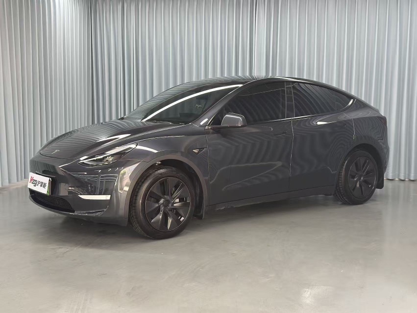 Tesla Model Y 2024 car image 