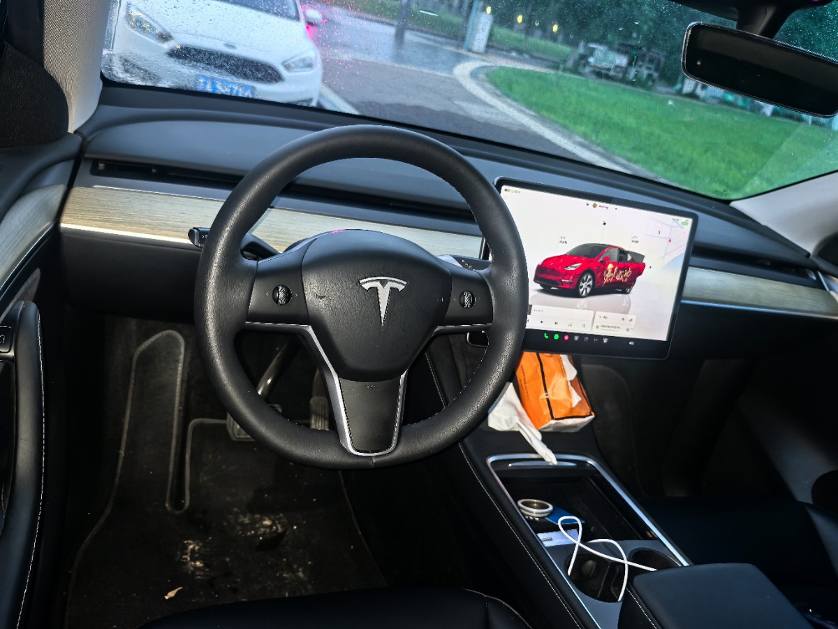 Tesla Model Y 2023 car image #6