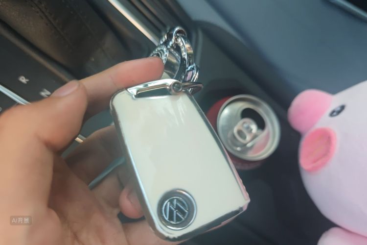 Volkswagen Lavida 2024 car image #10