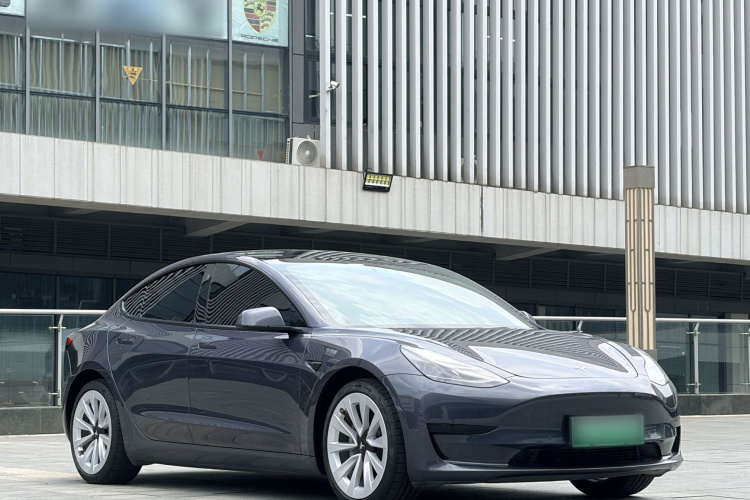 Tesla Model 3 2021 car image #6