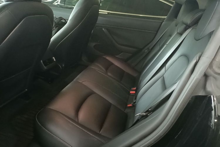 Tesla Model 3 2023 car image #13