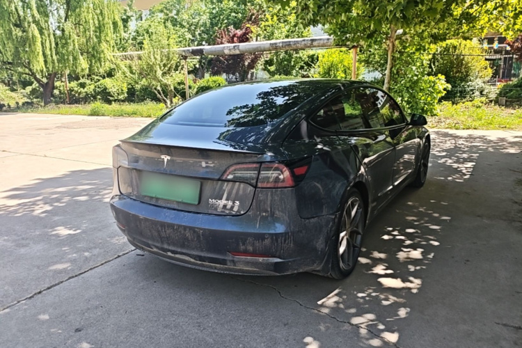 Tesla Model 3 2021 #7 Tesla Model 3 2021 car image #7