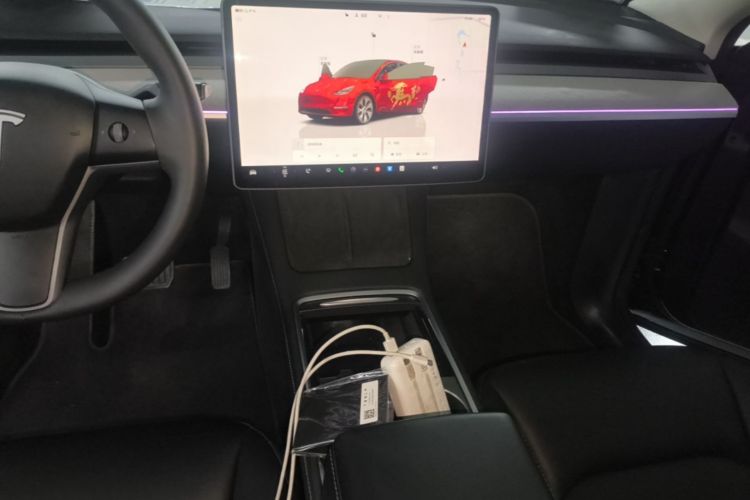 Tesla Model Y 2024 car image #13