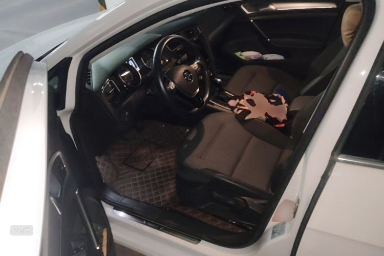 Volkswagen Golf 2020 immagine di auto #18