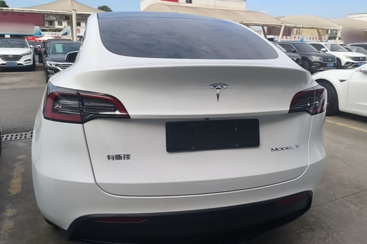 Tesla Model Y 2022 #4 Tesla Model Y 2022 car image #4