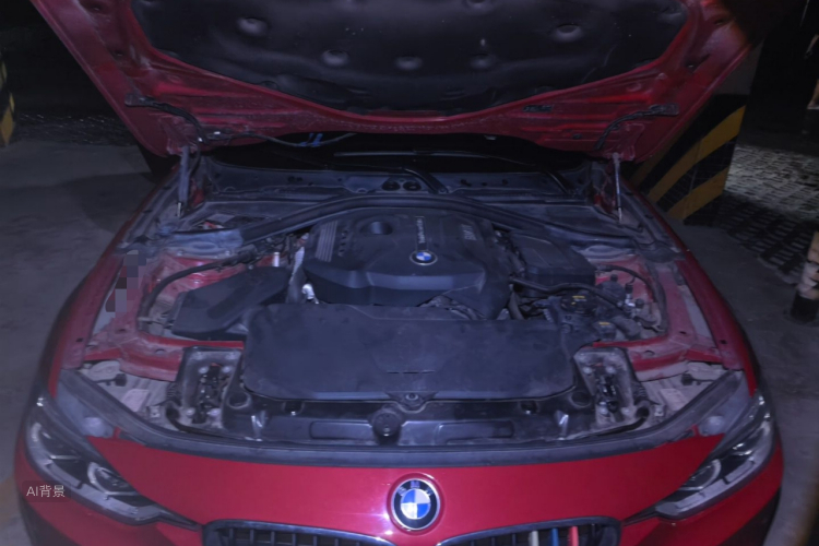 BMW 3 Series 2017 car image #22