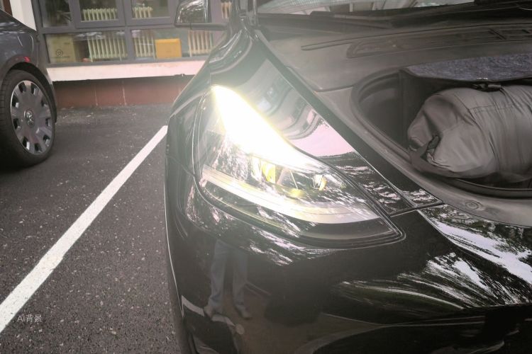 Tesla Model Y 2023 #8 Tesla Model Y 2023 car image #8