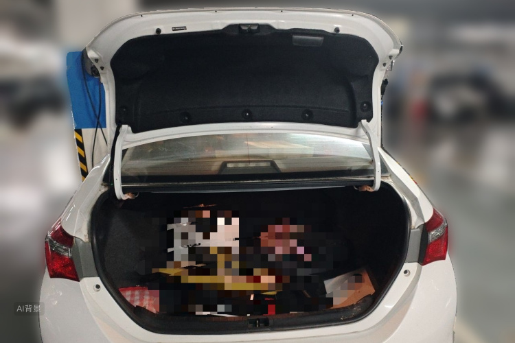 Toyota Corolla 2019 #21 Toyota Corolla 2019 car image #21