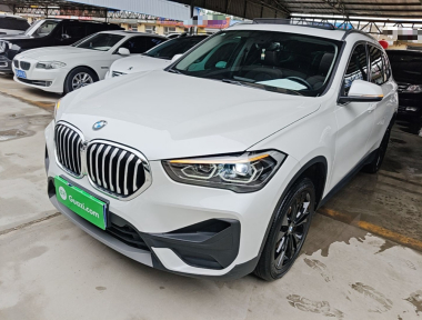 BMW X1 2019 car image 
