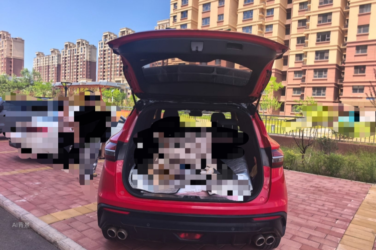 2019 #21 2019 car image #21