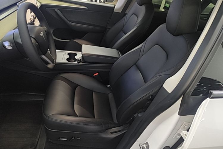 Tesla Model Y 2023 car image #19