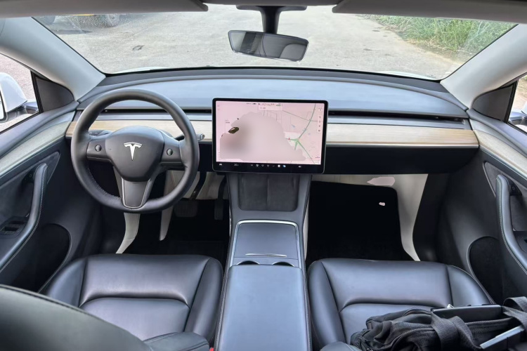 Tesla Model Y 2021 car image #10