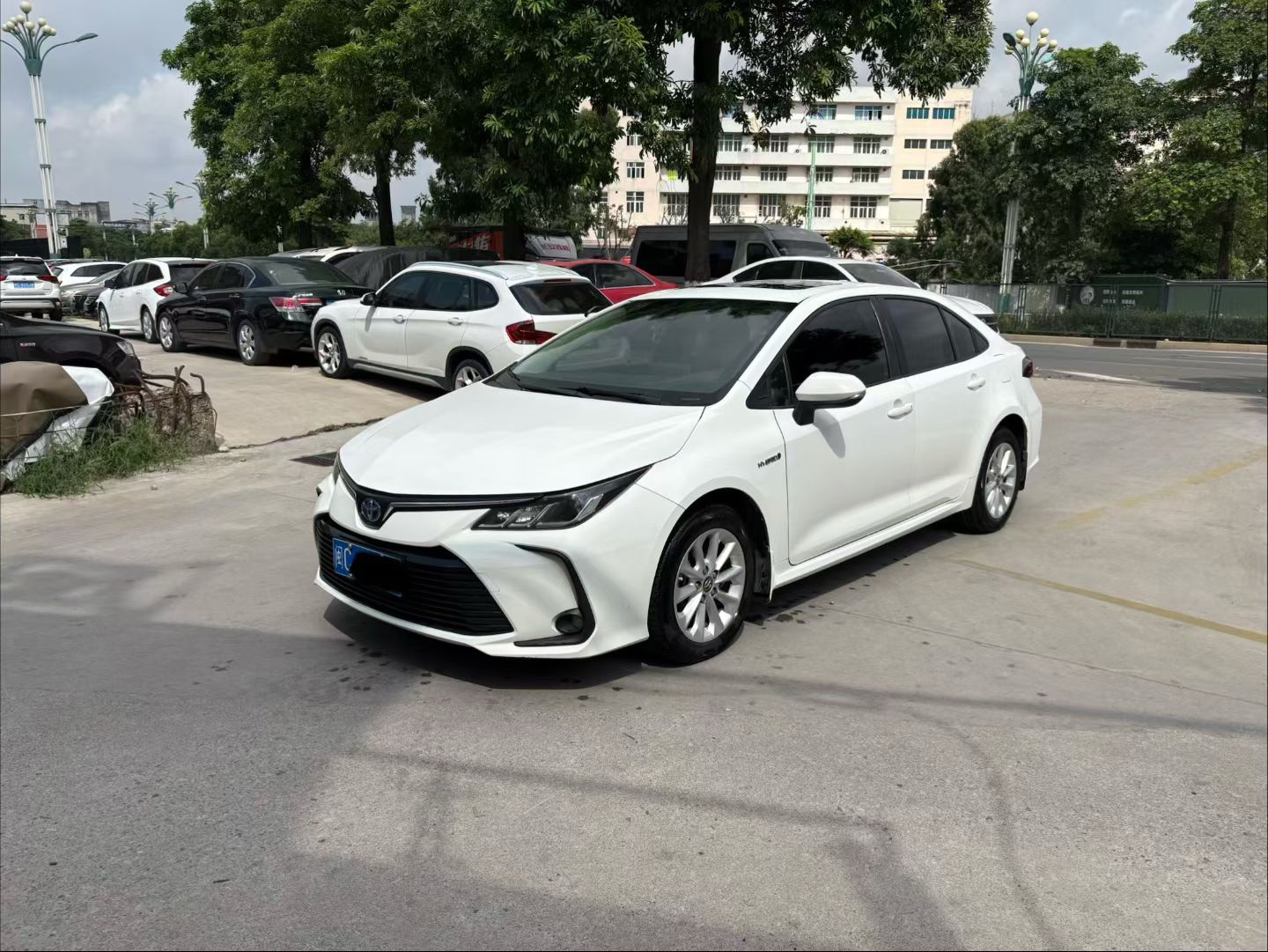 Toyota Corolla 2022 Toyota Corolla 2022 car image