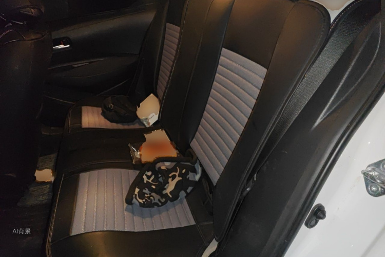 Toyota Corolla 2021 car image #19