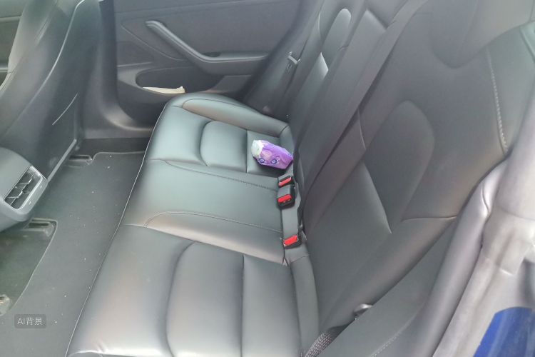 Tesla Model 3 2020 car image #19