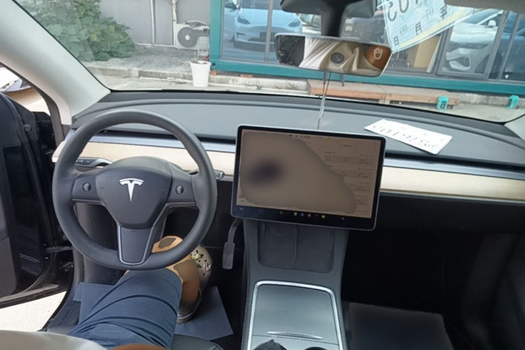 Tesla Model Y 2021 #10 Tesla Model Y 2021 car image #10