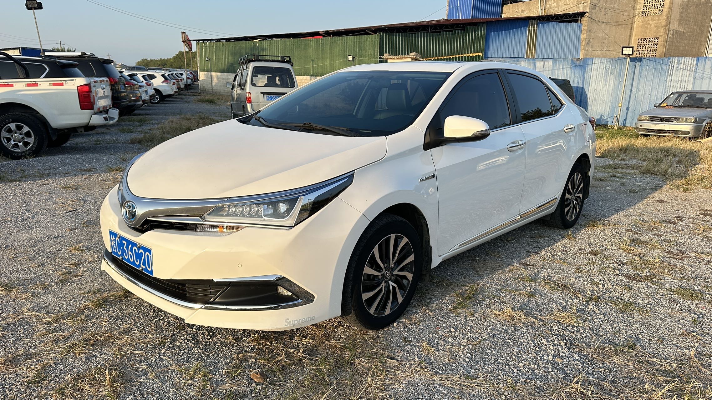 Toyota Corolla 2019 Toyota Corolla 2019 immagine di auto