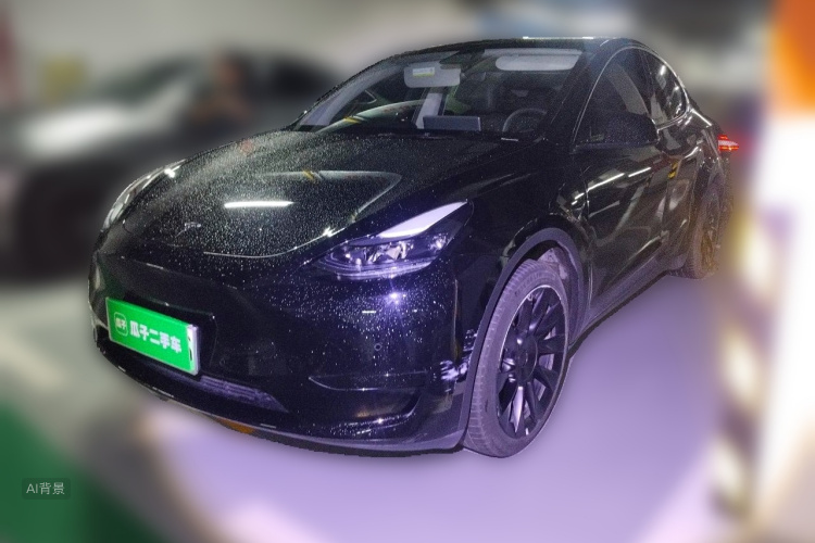Tesla Model Y 2023 #2 Tesla Model Y 2023 car image #2