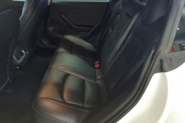 Tesla Model 3 2020 #13 Tesla Model 3 2020 صورة سيارة #13