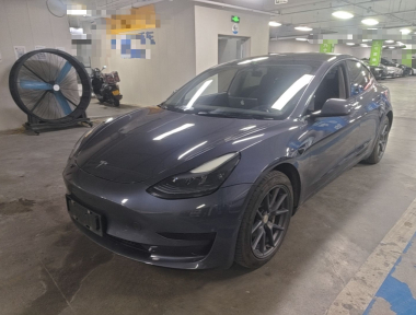 Tesla Model 3 2023 Tesla Model 3 2023 car image