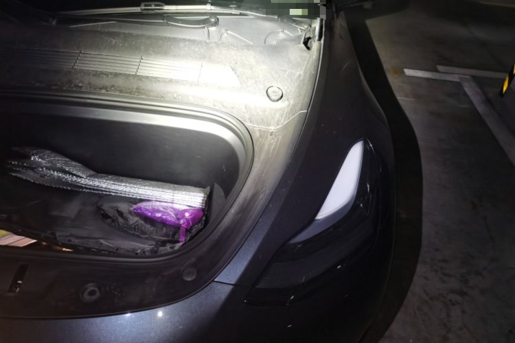 Tesla Model Y 2025 صورة سيارة #24