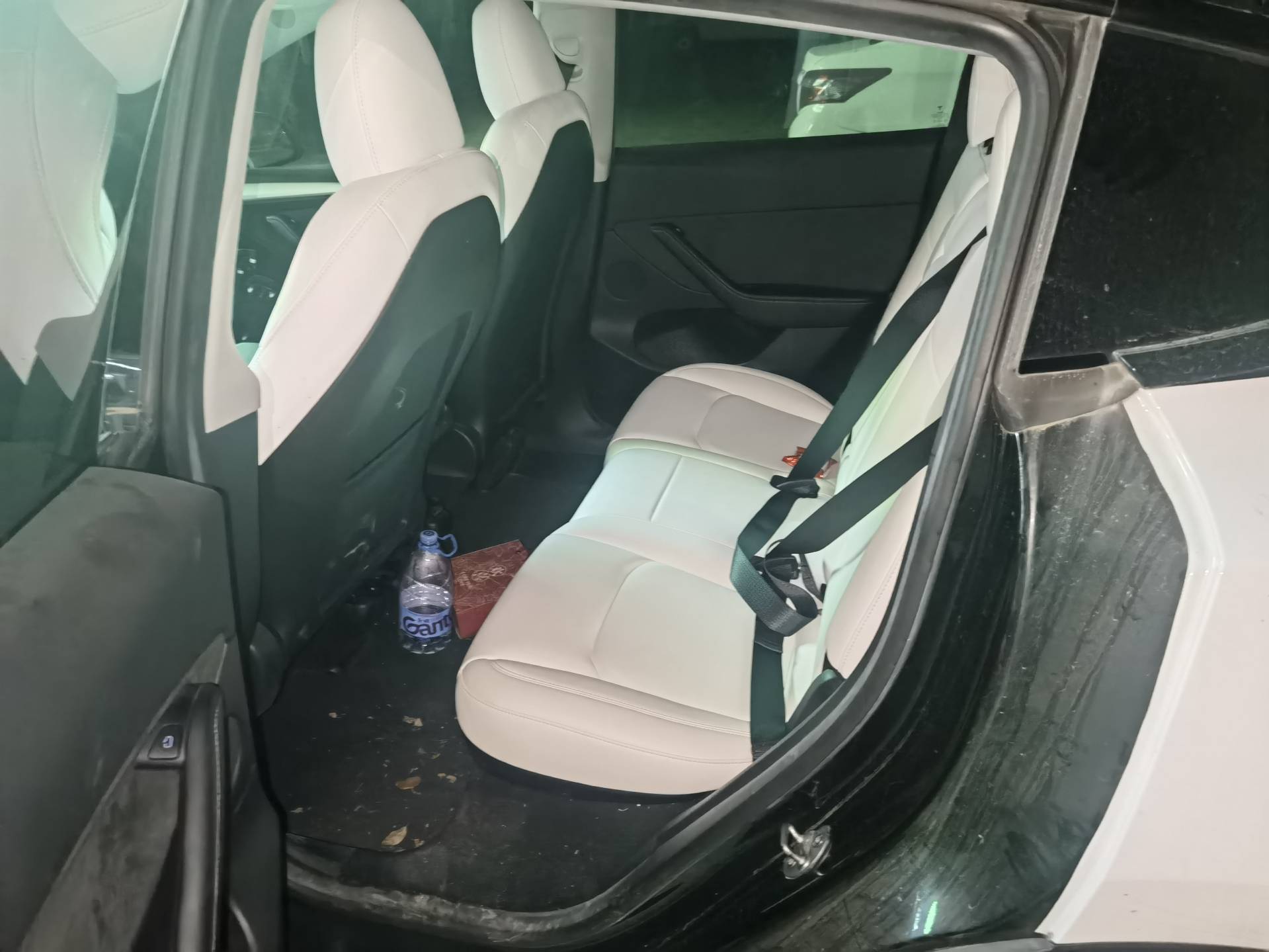 Tesla Model Y 2023 imagen de coche #4