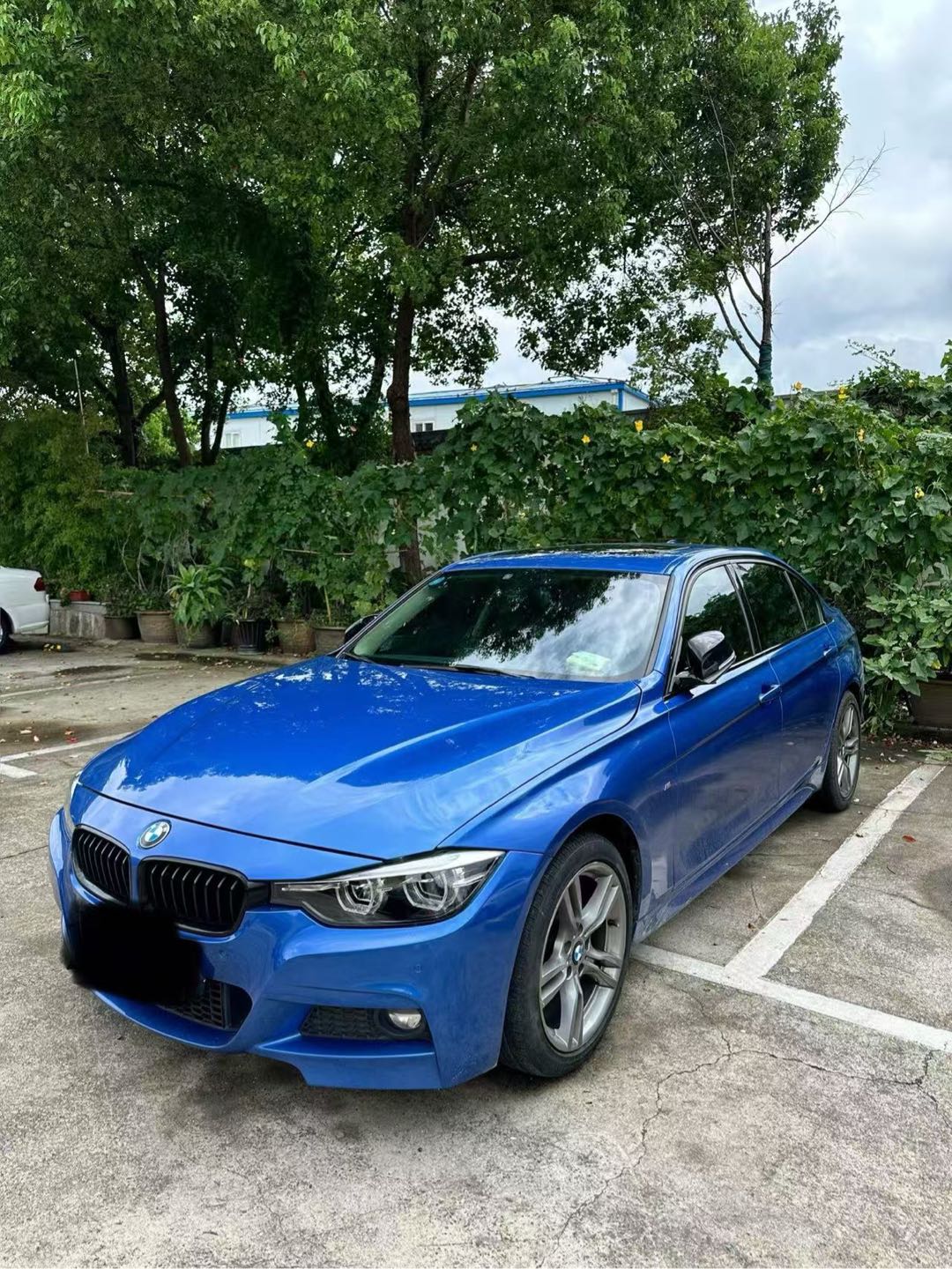 BMW 3 Series 2018 BMW 3 Series 2018 car image