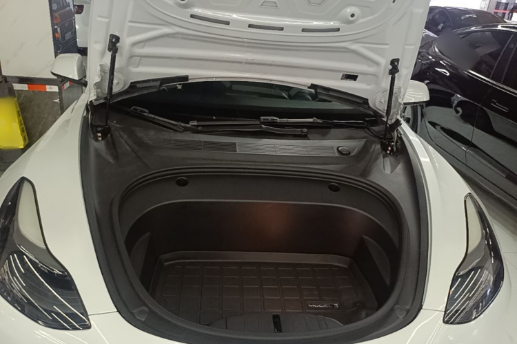 Tesla Model 3 2021 immagine di auto #20