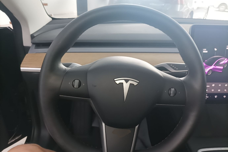 Tesla Model 3 2021 #15 Tesla Model 3 2021 car image #15