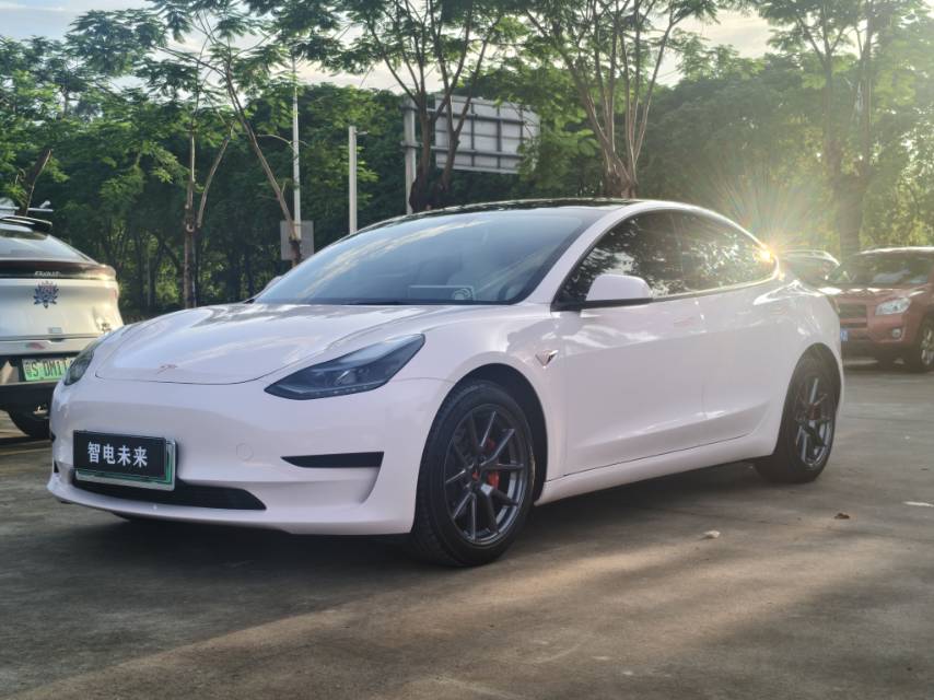 Tesla Model 3 2021 Tesla Model 3 2021 car image
