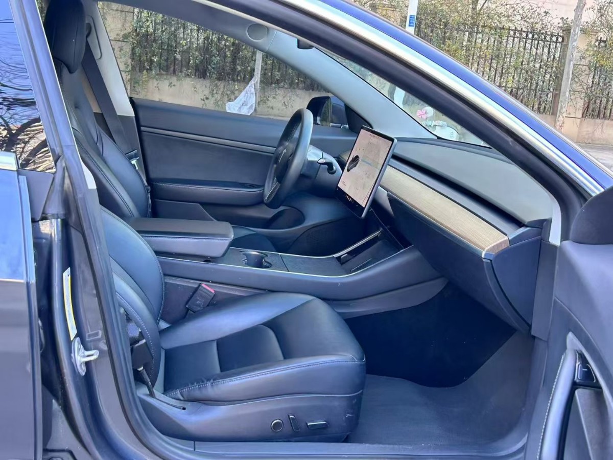 Tesla Model 3 2020 car image #6