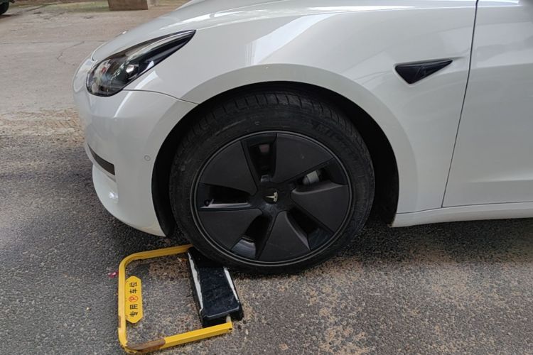 Tesla Model 3 2022 #9 Tesla Model 3 2022 صورة سيارة #9