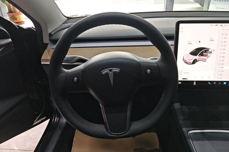 Tesla Model 3 2021 car image #11