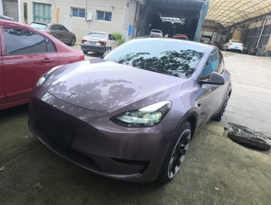 Tesla Model Y 2022 car image 