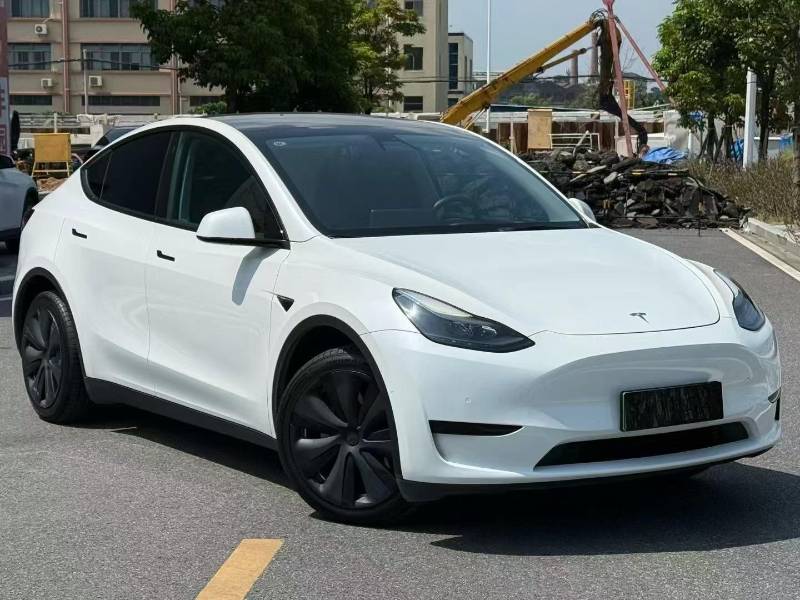 Tesla Model Y 2022 Tesla Model Y 2022 car image
