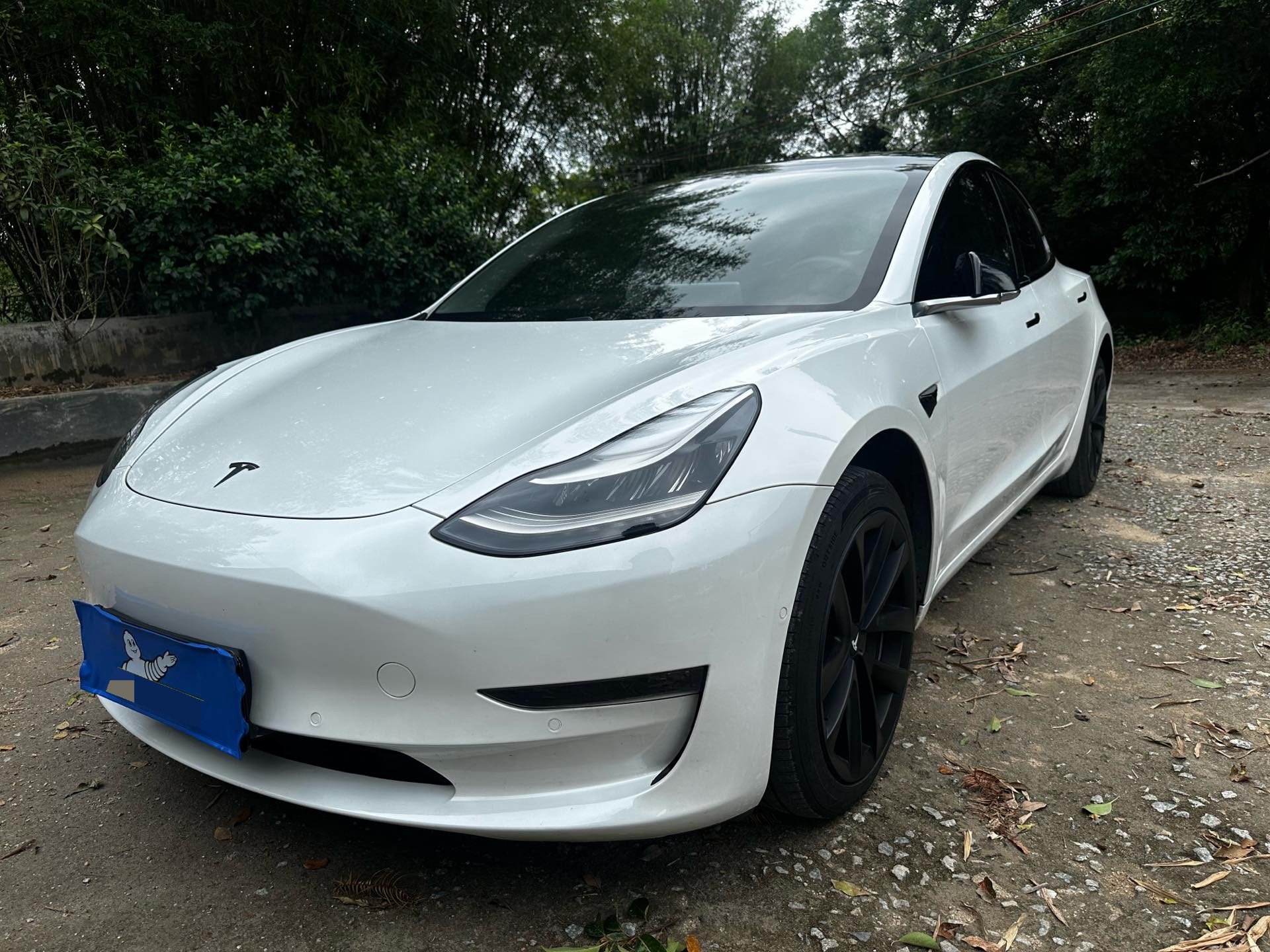Tesla Model 3 2020 car image 