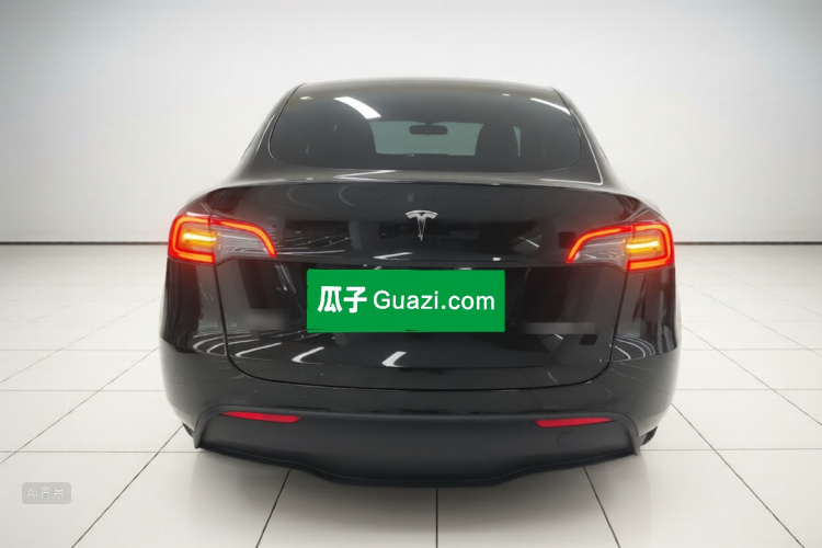 Tesla Model Y 2023 car image #6