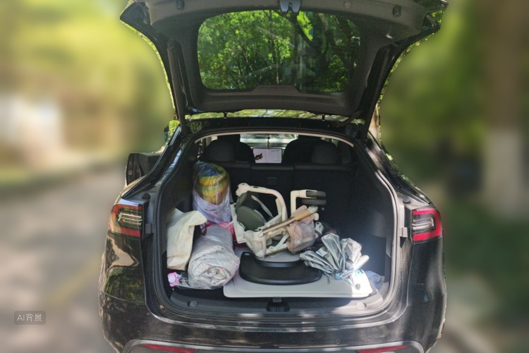 Tesla Model Y 2021 car image #21