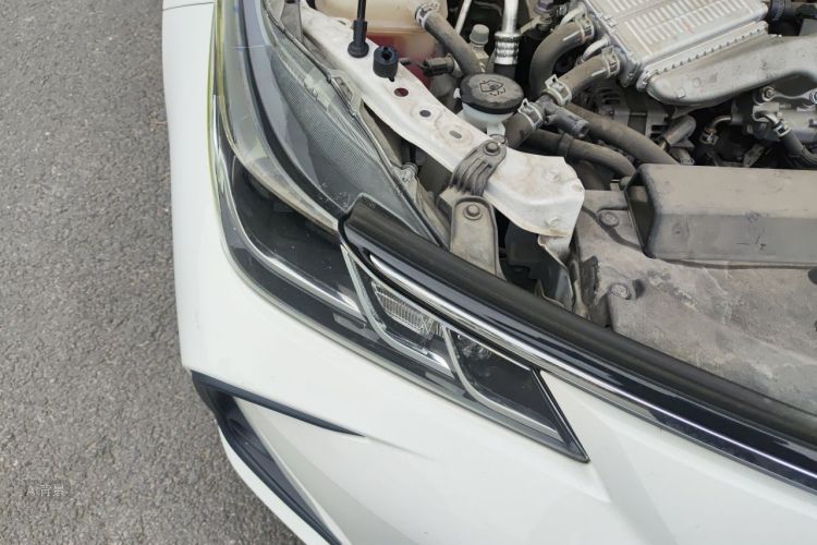 Toyota Corolla 2021 car image #8