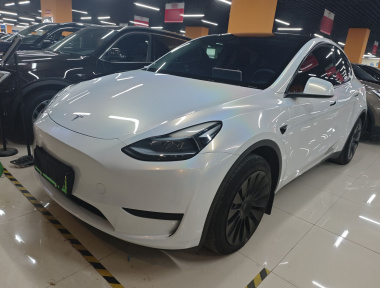 Tesla Model Y 2024 Tesla Model Y 2024 car image
