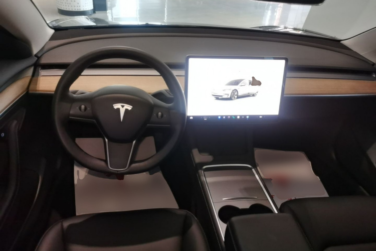 Tesla Model 3 2022 immagine di auto #10
