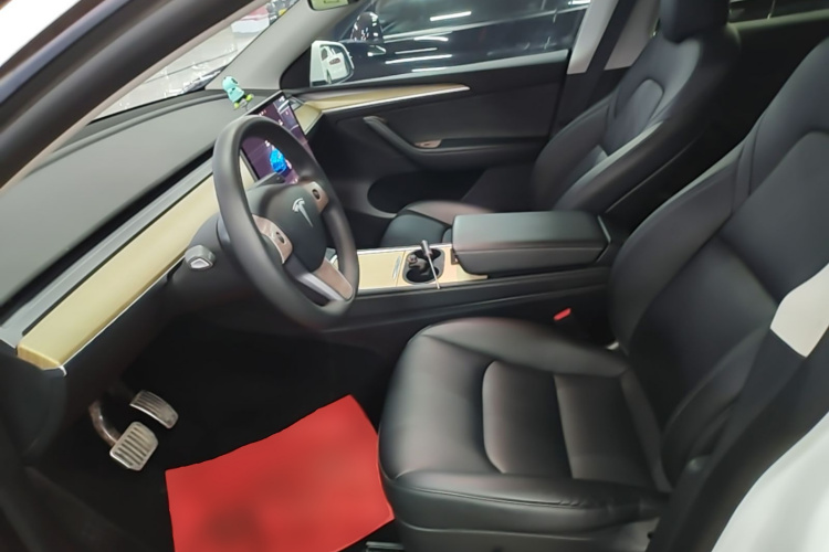 Tesla Model Y 2023 car image #15