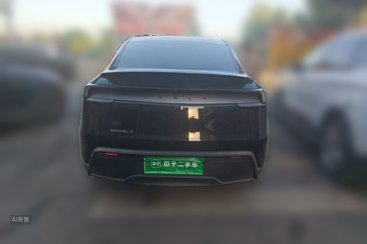 Tesla Model Y 2025 car image #6