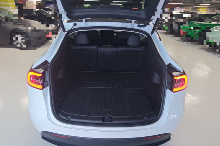 Tesla Model Y 2024 car image #18