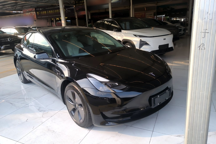 Tesla Model 3 2021 immagine di auto #4