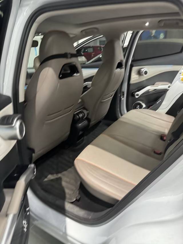 BYD Yuan Plus 2024 car image #6