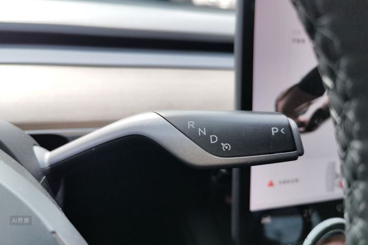 Tesla Model 3 2021 car image #16