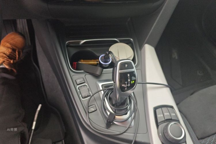 BMW 3 Series 2018 car image #16